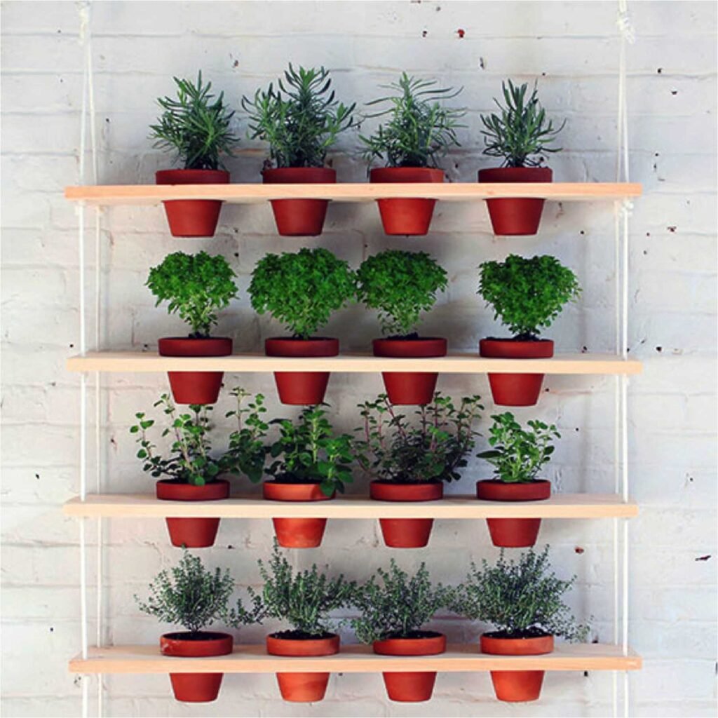 Vertical Garden Ideas for Home